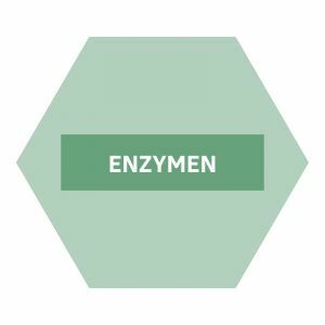 https://www.nutriphyt.be/media/cache/dakzilla_intervention/b0919f284a7e9d6162db7007ed7499a7/Enzymen.jpg